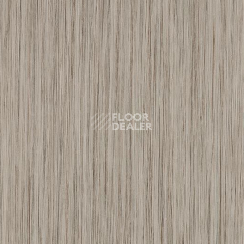 Линолеум Forbo Modul'up 19dB Wood 121UP4319 grey linea фото 1 | FLOORDEALER